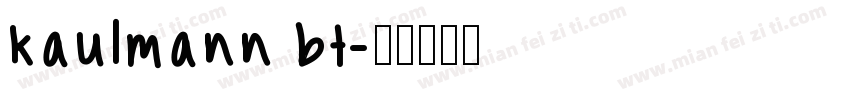 kaulmann bt字体转换